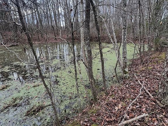 3rd image of 0 Fish Pond Rd