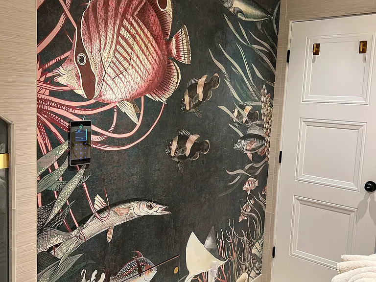 Lower level hallway bathroom #2