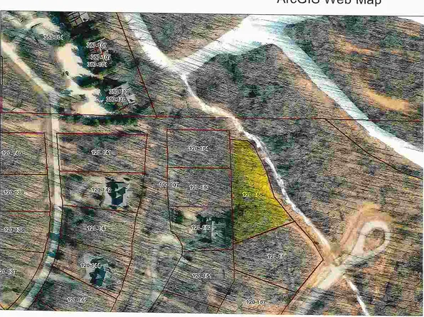 340 Pleasant Ridge Dr #55, Harbor Springs, MI 49740