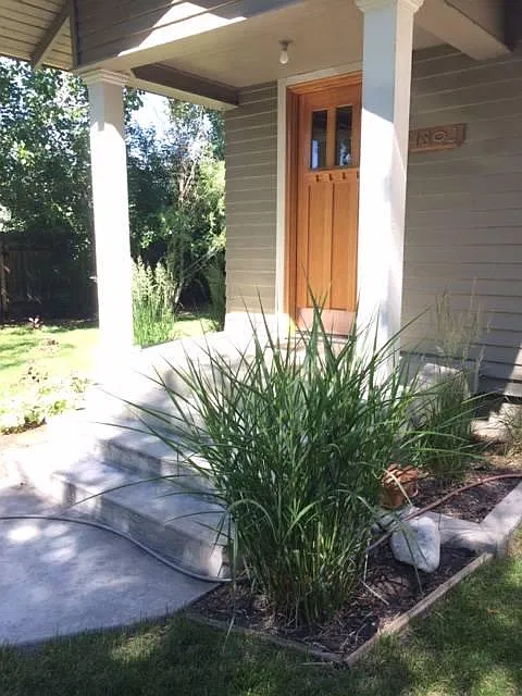 2 bed, 1100 sqft, $2,450 — Photo 2