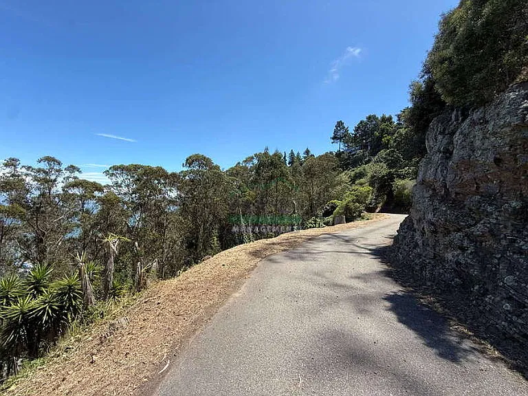 509 Cloud View Trl — Photo 32