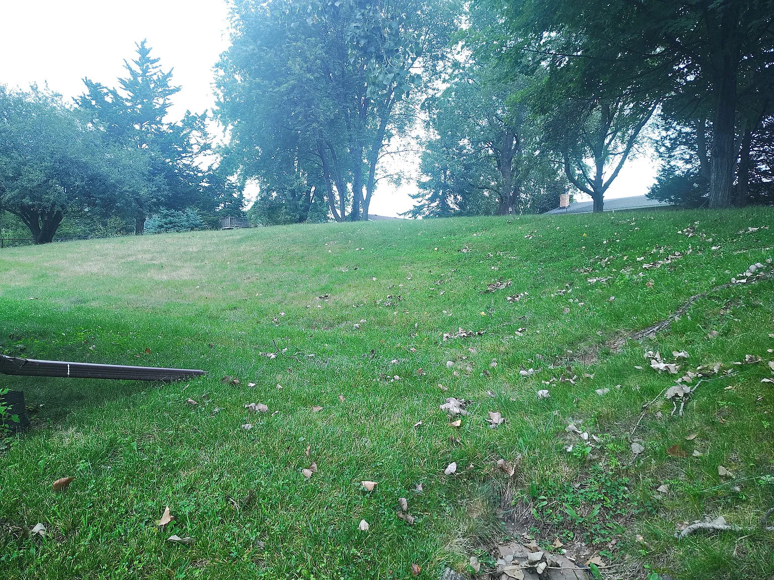 3 bed, 1300 sqft, $1,800 — Photo 4