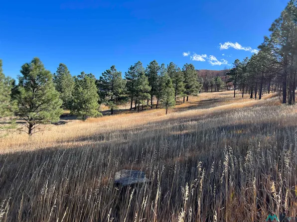 274-275 Cumbre Rd, Rociada, NM 87742