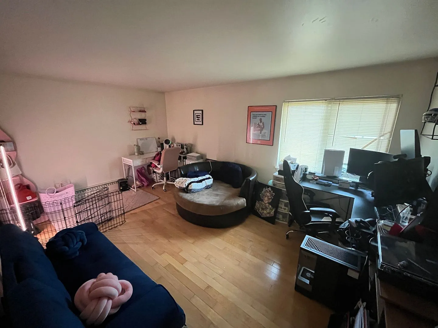 2018 Oakland — Photo 3