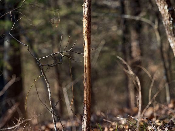 98th image of this home