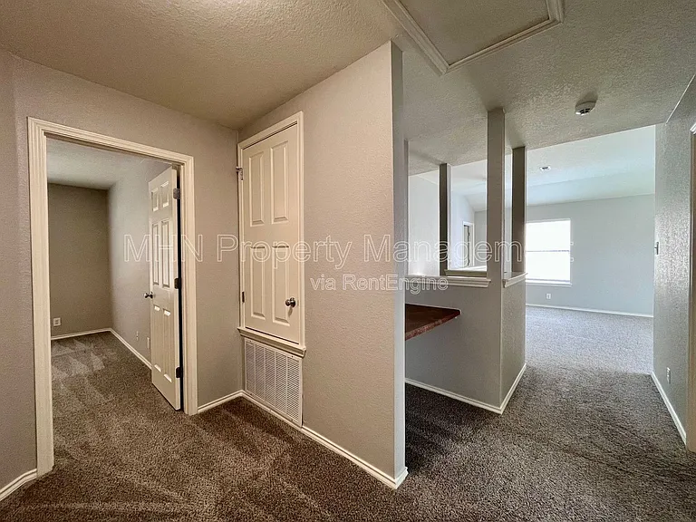 8734 Snow Goose — Photo 23
