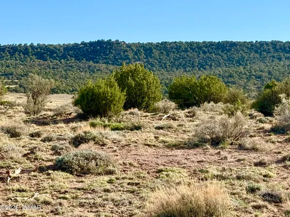 85 Colorado Ave, Concho, AZ 85924