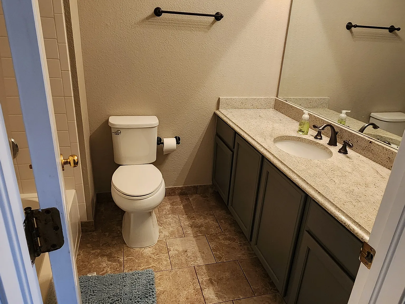 1493 Red Peak Dr — Photo 4