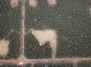 5 Boreal Frst, Tok, AK 99780