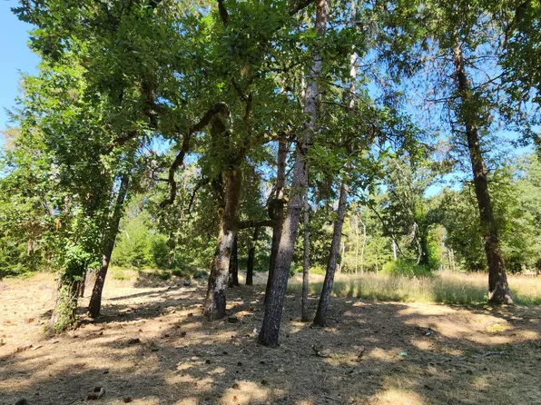25331 Sherwood Road, Willits, CA 95490
