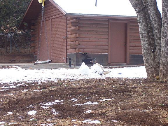 view of separate free standing separate log cabin garage