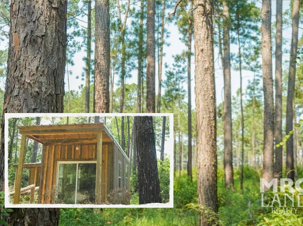 0 Forest Service Rd #511, Grapeland, TX 75844