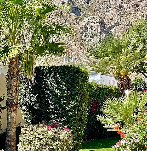 53700 Avenida Madero — Photo 28