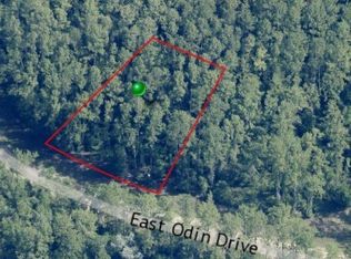 1345 E Odin Dr, Citrus Springs, FL 34434