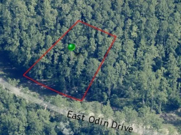 1345 E Odin Dr, Citrus Springs, FL 34434