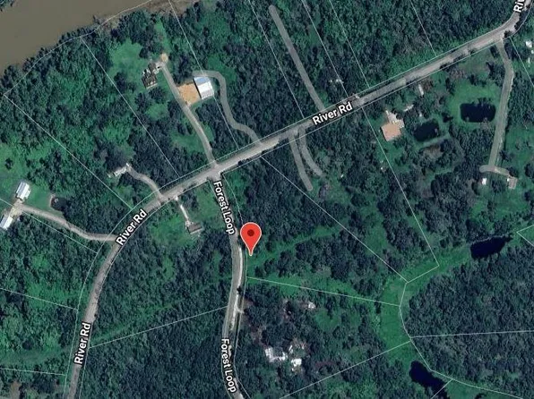 107 Forest Loop Lot 117, Angleton, TX 77515