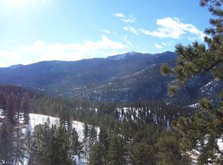 65 Gilday Rd, Bailey, CO 80421