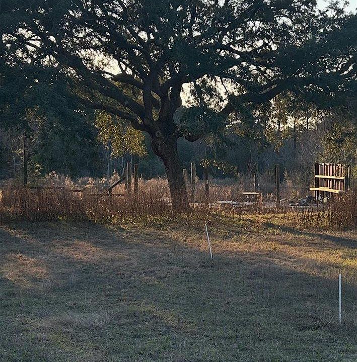 2nd image of 8251 Western Way Dr
