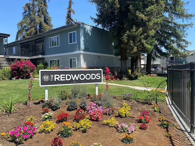 The Redwoods — Photo 14
