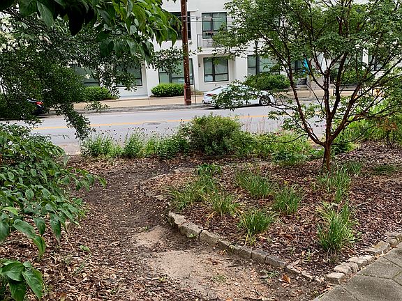 3rd image of 254 Elizabeth St NE Lot 0