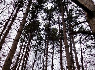 0 W Buno Rd, Milford, MI 48380