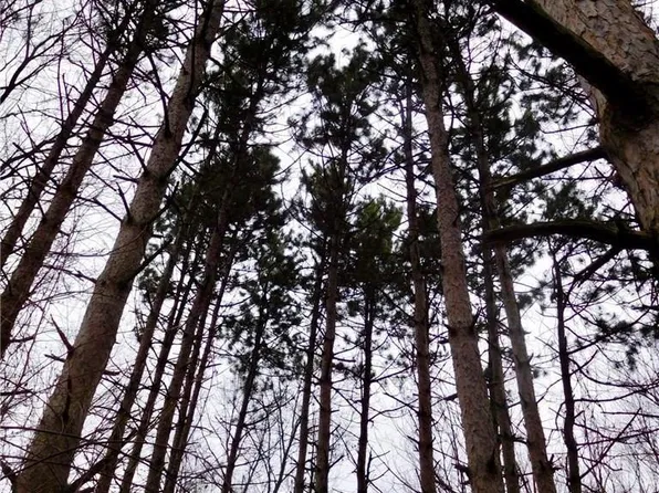 0 W Buno Rd, Milford, MI 48380