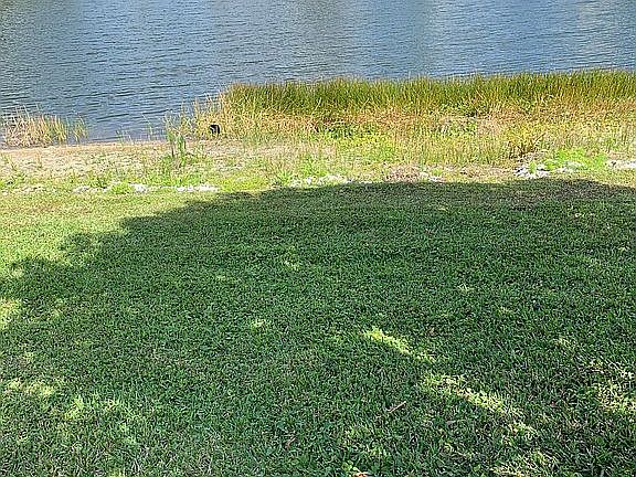 3rd image of 10423 Cypress Lakes Preserve Dr