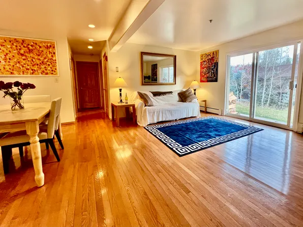 326 Midland Ave, Aspen, CO 81611