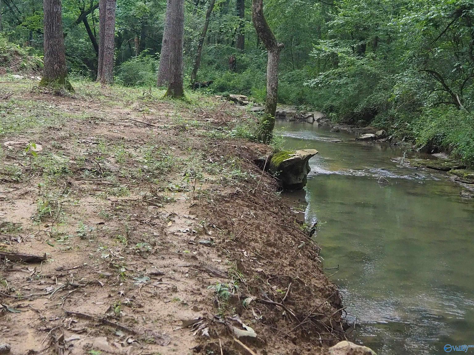 25.5 Acres Hwy 36, Hartselle, AL 35640 MLS 1838137 Zillow