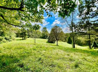 6250 Tails Creek Rd #1, Ellijay, GA 30540