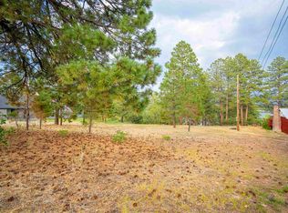 41 Tbd Rd #9, Mancos, CO 81328