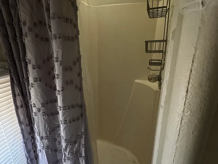 920 W Morgan St #A — Photo 11