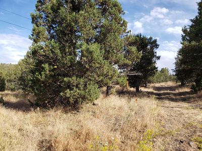 0 SE Walther Loop, Prineville, OR, 97754