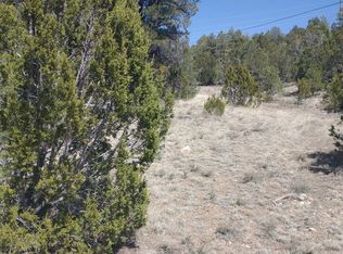 1979 Bradley Ln, Heber, AZ 85933