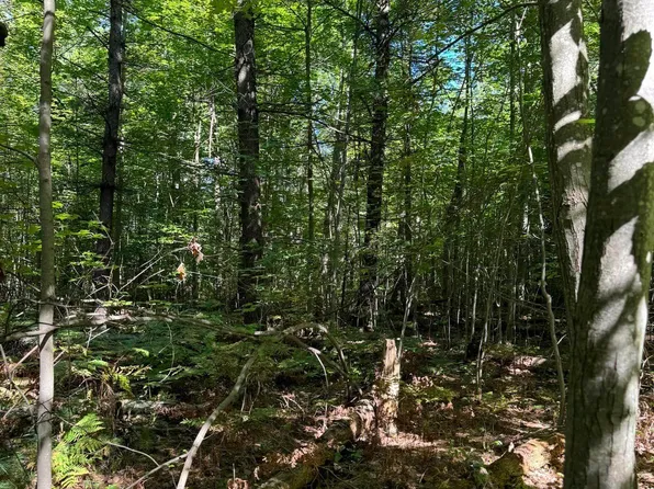 0 Raymo Rd SW, South Boardman, MI 49680