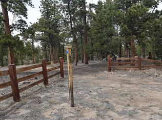 63 Trace Ct, Hartsel, CO 80449