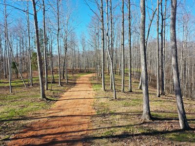 0 Bell Branch Rd, Nunnelly, TN, 37137