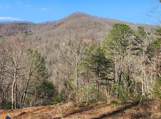 8 Roscoe Lewis Rd, Sylva, NC 28779