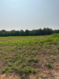 TRACT 39 Hays Mill Rd, Elkmont, AL, 35620