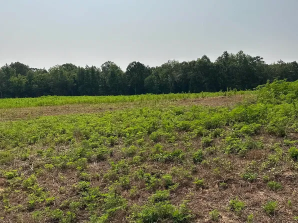 TRACT 39 Hays Mill Rd, Elkmont, AL 35620