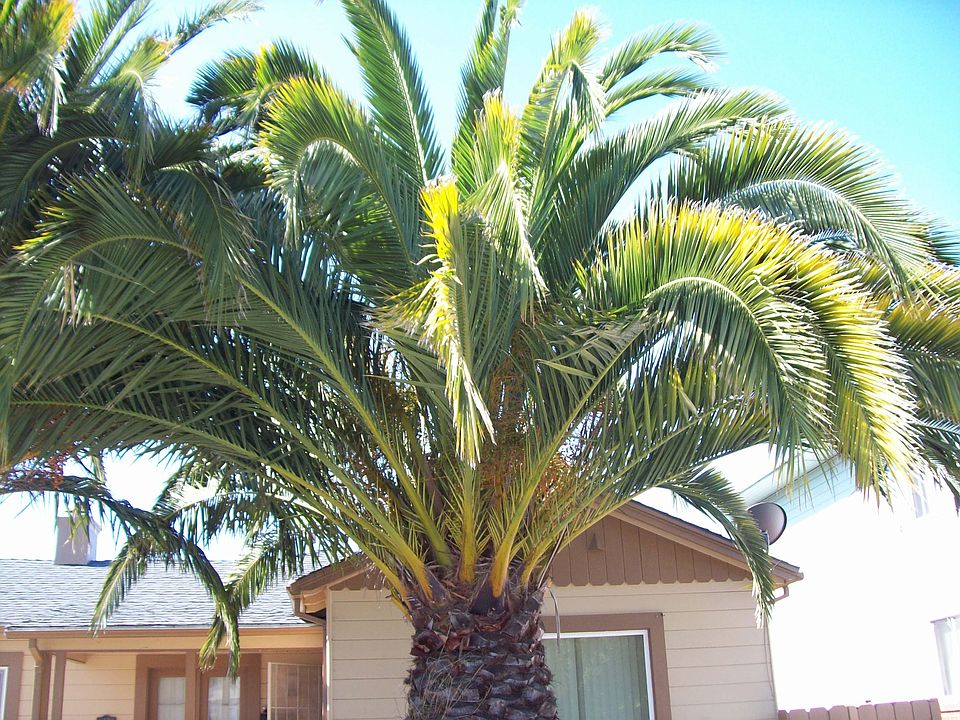 1st image of 3226 Nevin Ave