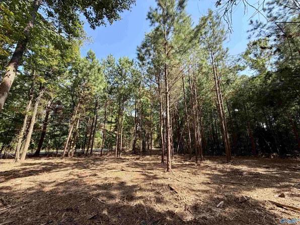 /oakland Dr, Gadsden, AL 35901