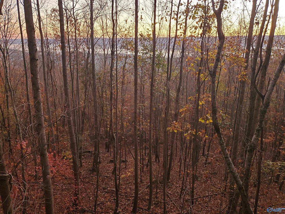 1st image of 1048 County Road 730