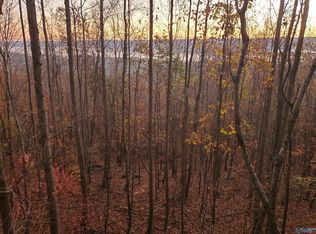 1048 County Road 730, Henagar, AL 35978