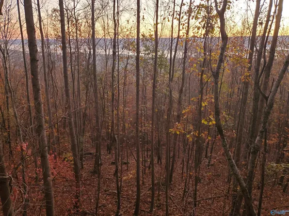 1048 County Road 730, Henagar, AL 35978