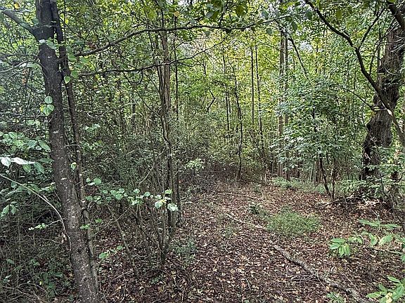 5th image of 0 Mountainside Ct