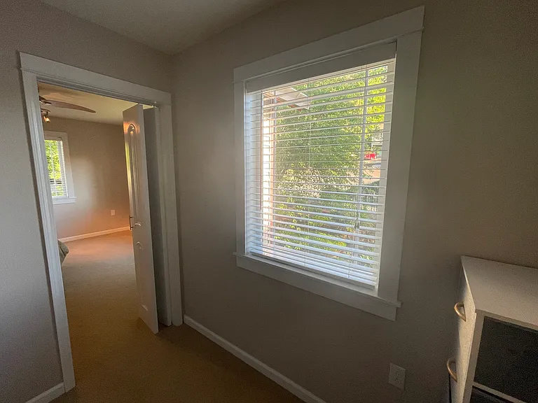 Large walk-in closet could even be transformed into your own private office or studio space