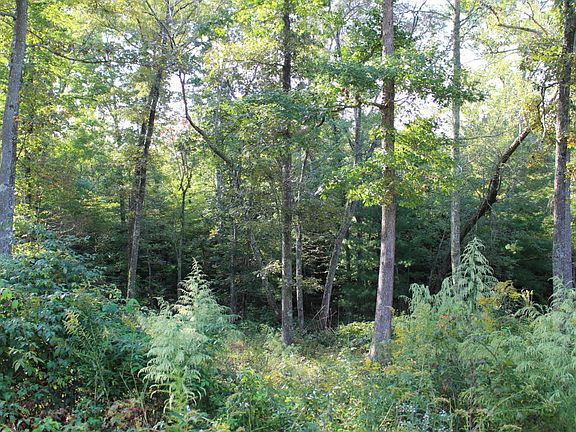 5th image of Mtn Preserve Pkwy