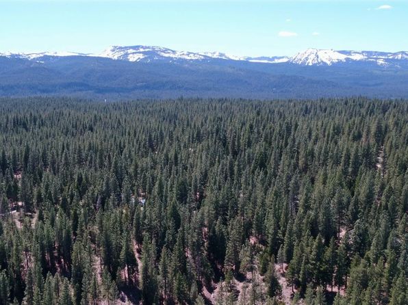 533 Sugarpine Ln, Clio, CA 96106