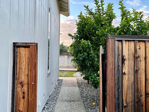 Side gate with 2 lemon trees providing coverage from neighboring house